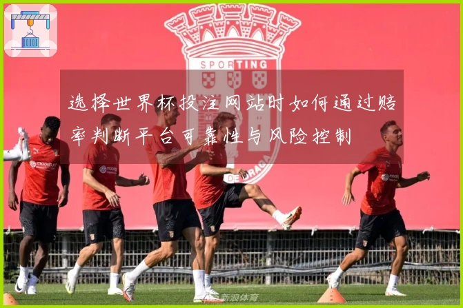 选择世界杯投注网站时如何通过赔率判断平台可靠性与风险控制