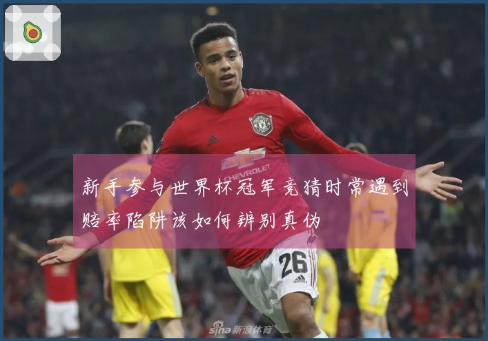 新手参与世界杯冠军竞猜时常遇到赔率陷阱该如何辨别真伪