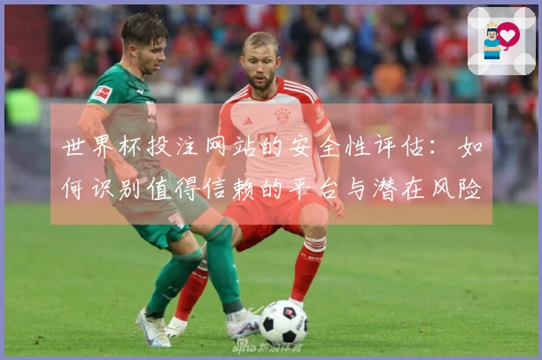 世界杯投注网站的安全性评估：如何识别值得信赖的平台与潜在风险