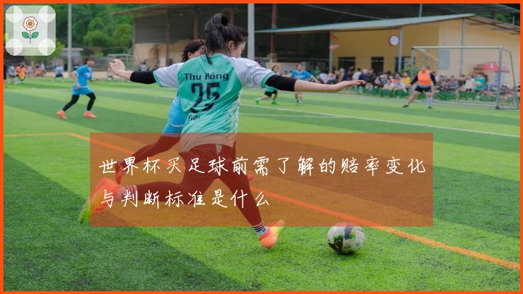 世界杯买足球前需了解的赔率变化与判断标准是什么