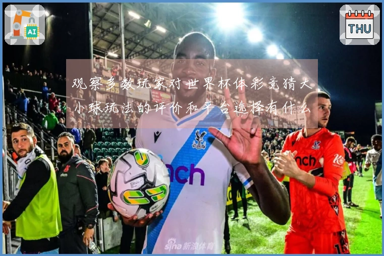 观察多数玩家对世界杯体彩竞猜大小球玩法的评价和平台选择有什么注意事项